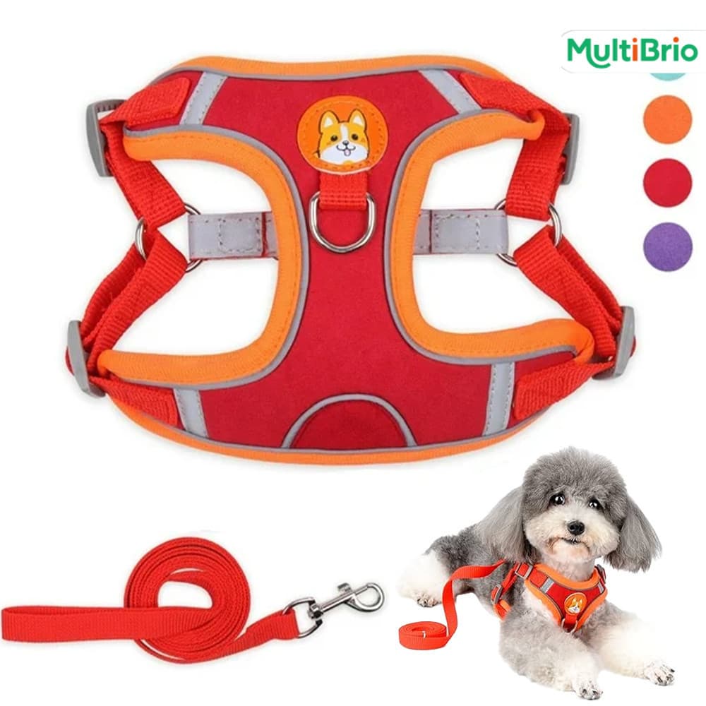 Coleira Estilo Colete + Guia para Passeio – Perfeito para Cães e Gatos de Tamanho Pequeno e Médio
