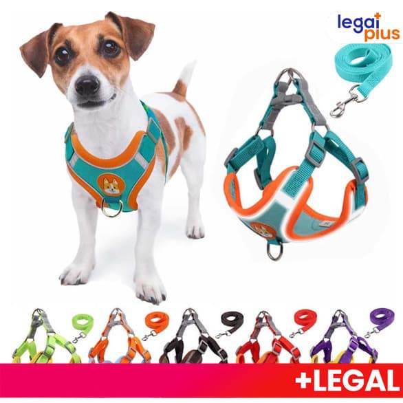 Coleira Peitoral Ajustável para Cães e Gatos – Guia e Colete Confortável para Pets Pequenos e Médios