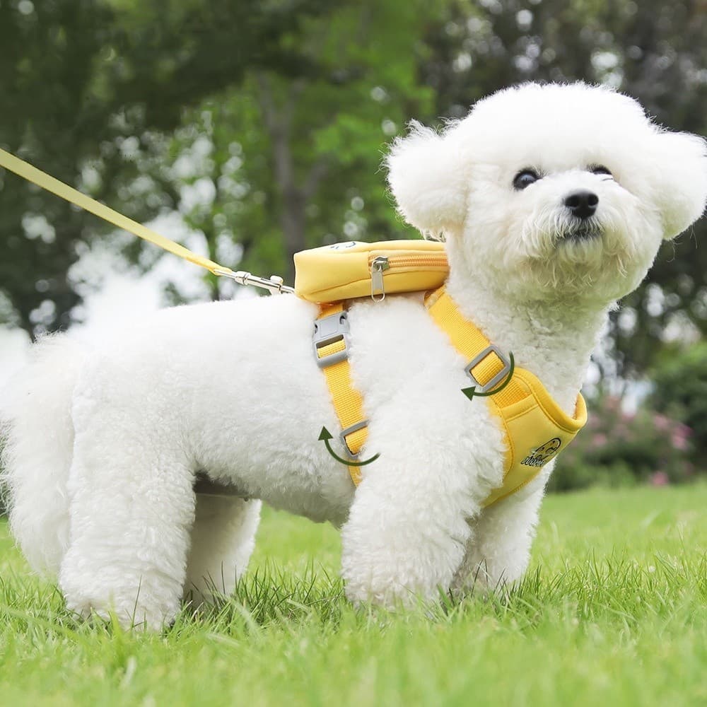 Peitoral Coleira Com Guia e Bolsa Removível Para Cachorro Pet Cães Pequenos E Médios Gato De Viagem