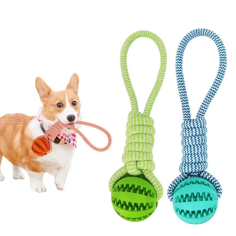 Bola Interativa De Brinquedo Para Cachorro Com Corda Animais De Estimação Brinquedos De Mastigar