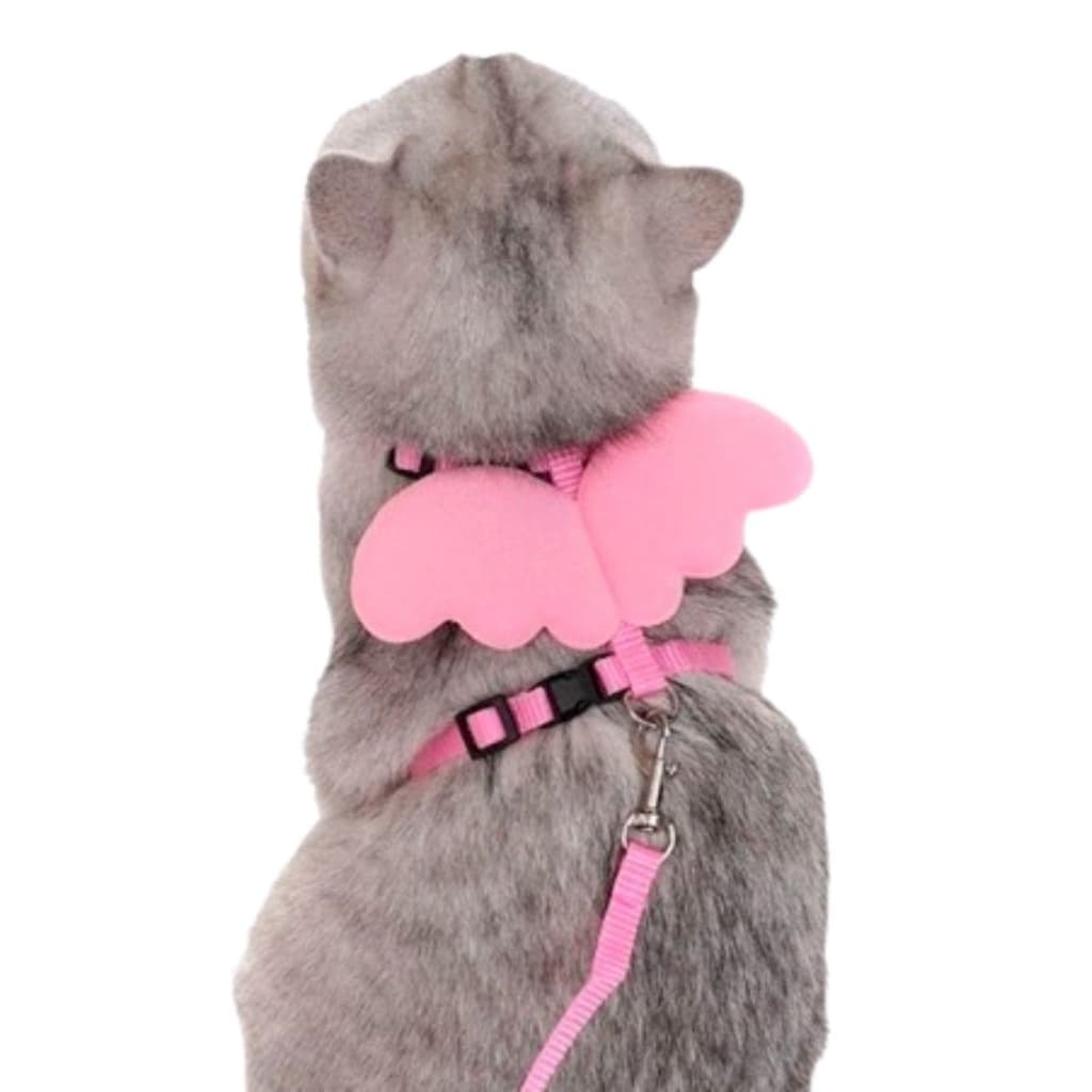 Coleira Peitoral Anjo para Gato Pet Colorido Ajustável com Guia e Asa