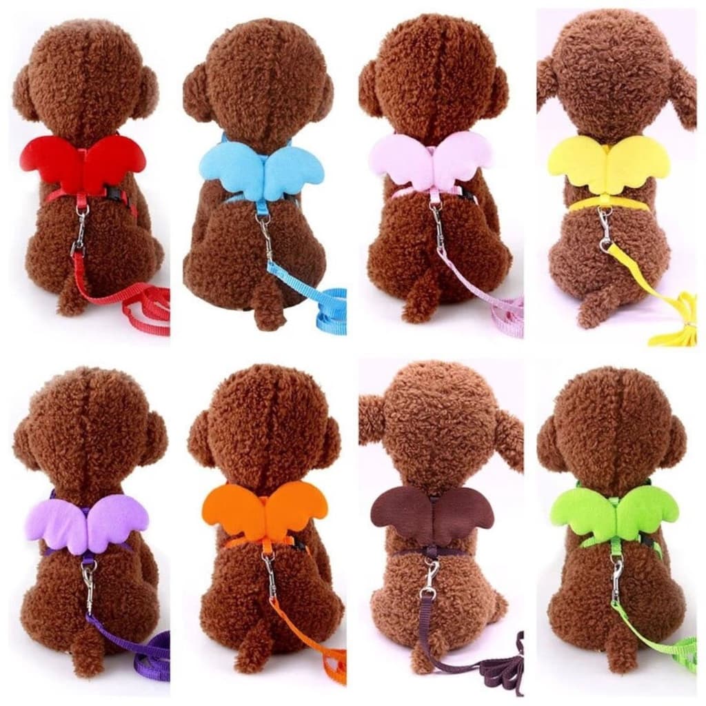 Coleira Peitoral para Gato Cachorro Pet com Guia Pet Modelo Anjo Colorido Mosquetão Metálico