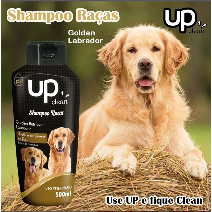 Shampoo para Cachorro Golden Labrador 500ml Shampoo para Cães Grandes Shampoo Pet Cheiroso UP Clean