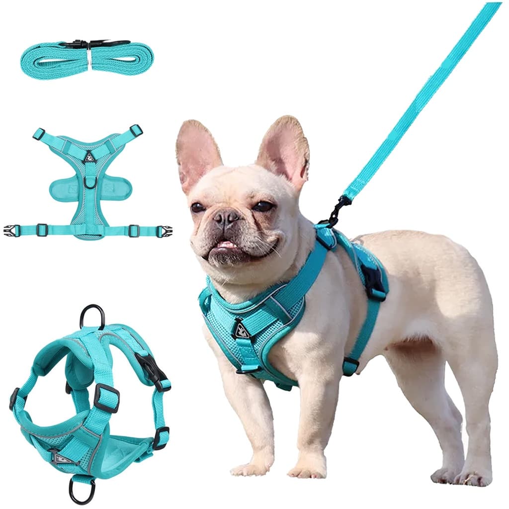 Peitoral Pet Coleira Guia Refletivo Ajustável Cães Gato Passeio Resistente Filhote Pequeno Médio Porte Seguro Kits