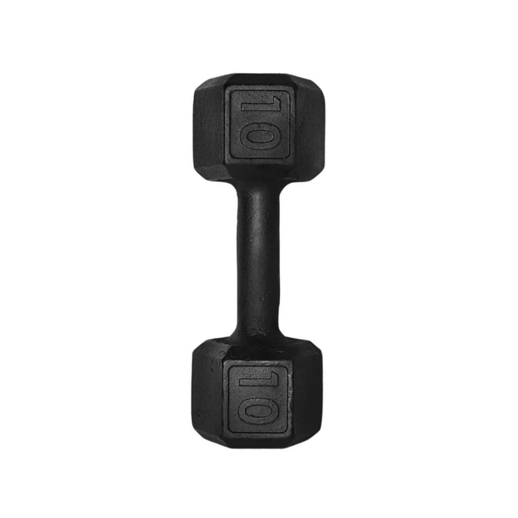 1 Halter Sextavado de 10kg Pintado Preto Ferro Fundido Exercícios Em Casa e Academia