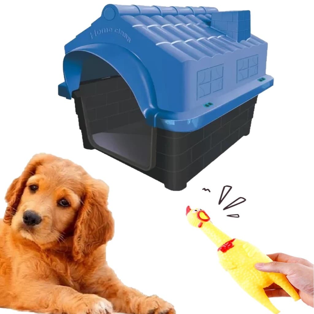 Mordedor Galinha Pet Interativo + Casinha Azul Pet N3 Dog