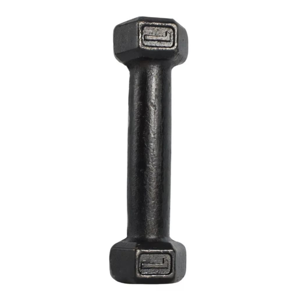 1 Halter Sextavado de 1kg Pintado Preto Ferro Fundido Exercícios Em Casa e Academia