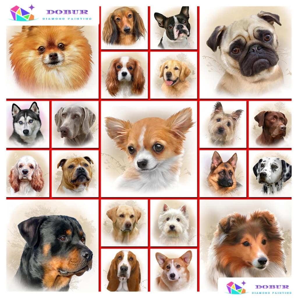 DOBUR | Pinturas Com Diamante 30X30CM DIY 5D Dog Full Drill Kits Numéricos Home E Cozinha Moda Cristal Rhinestone Em Tel