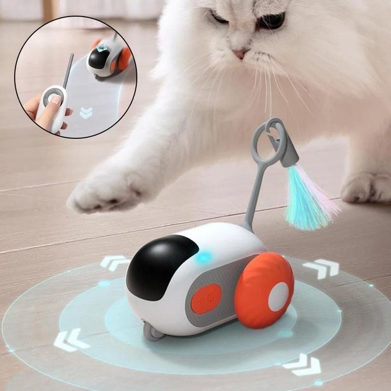 Controle Remoto Interativo De Carro De Gato Brinquedo Carregamento USB Brinquedo Inteligente