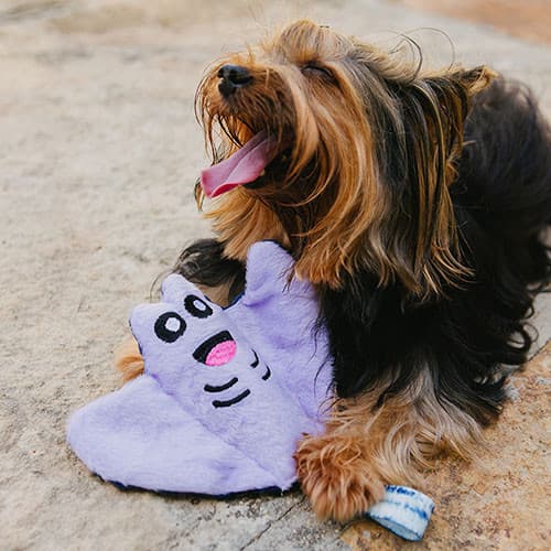 Brinquedo de Pelúcia Cláudia Arraia para Cachorros Tam. P. | Brinquedo Macio com Apito - Petiko