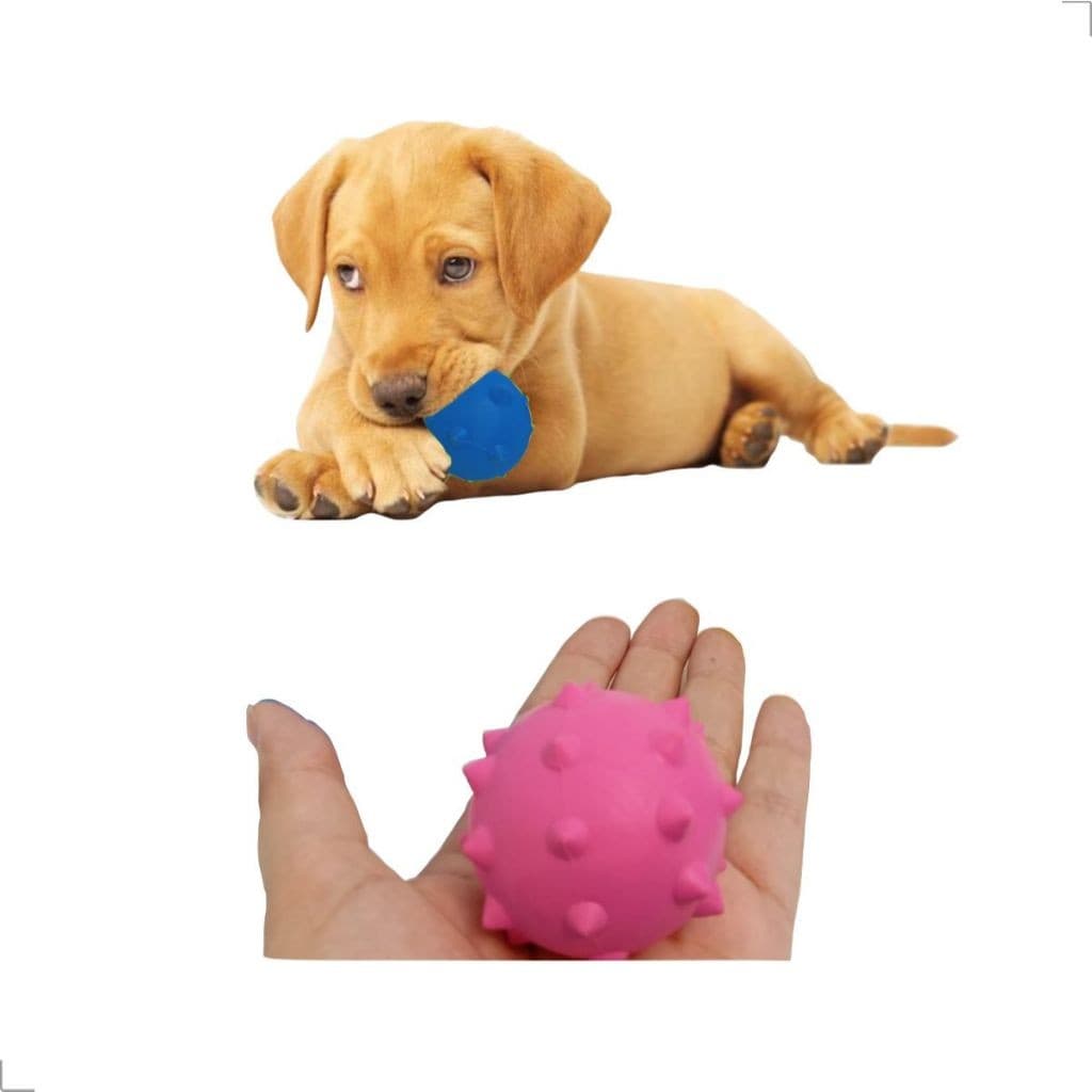 Brinquedo Mordedor Bola Cravo 5,5 para Cachorro Brinquedo Cachorro Pequeno Porte Resistente