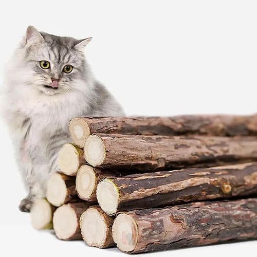10 Unidades Matatabi Varas De Catnip Limpa Dentes Anti Stres Brinquedo Interativo para gatos