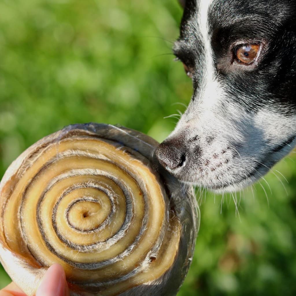 Mordedor Natural Para Cães Couro Bovino PetBem Discão 1un