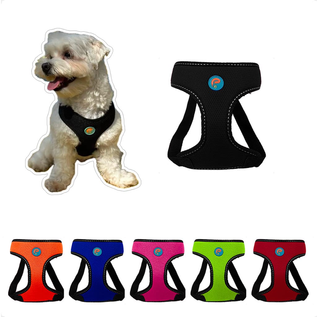 Coleira Peitoral Cachorro E Gato, Conjunto De Guia + Coleira Tipo Colete Para Pet Pequenos à Grandes
