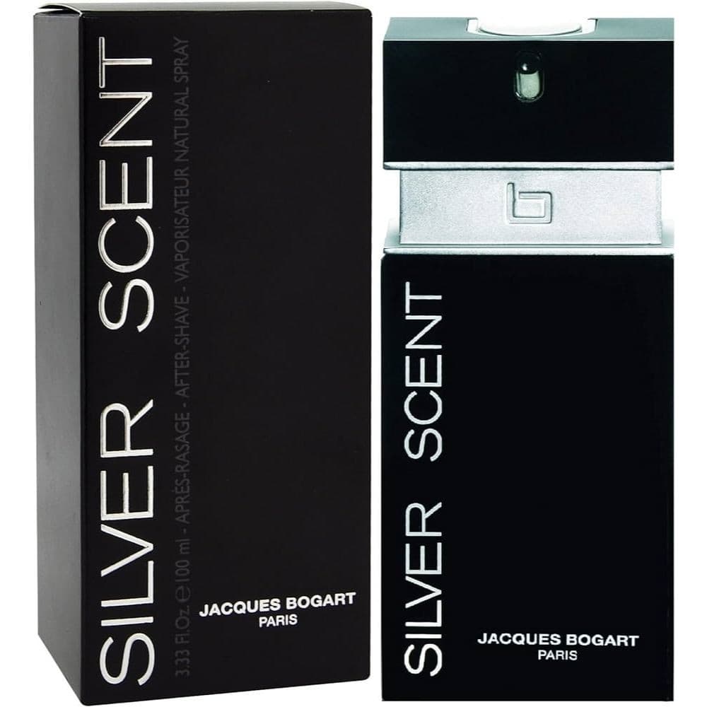 Perfume Masculino Importado Silver 100ml