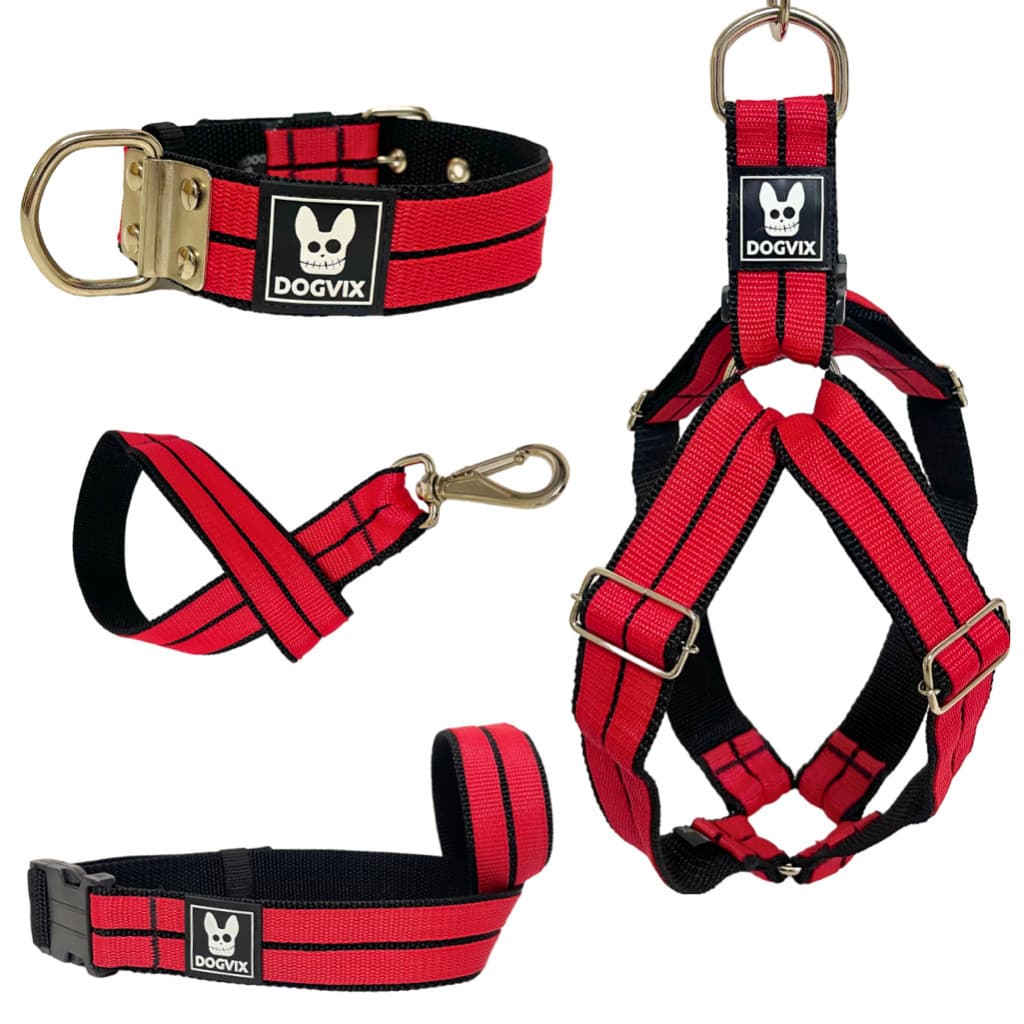 Conjunto Guia Coleira Peitoral Focinheira Para Cachorro Pet Adulto Pitbull Salu Pet