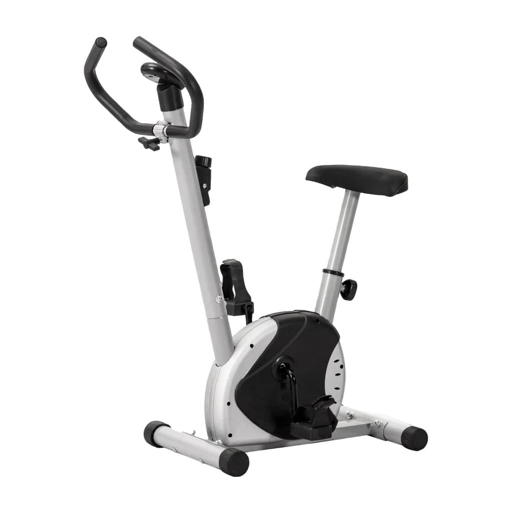 Bicicleta Ergométrica Exercícios Fitness Liftness