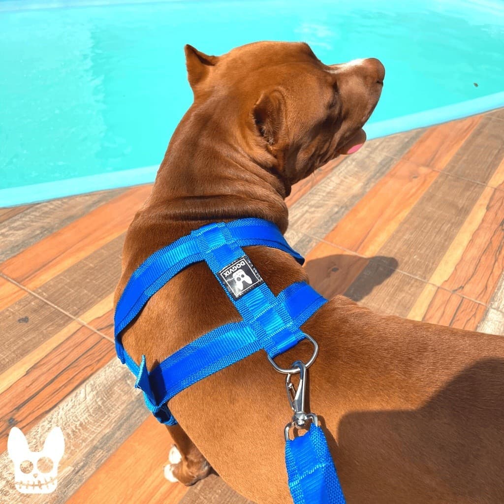 Peitoral Coleira + Guia Para Cachorro Resistente Seguro Confortável Pet