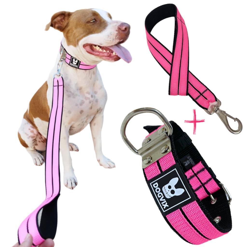 Coleira Pet Com Guia Para Cachorro Dog Grande Porte Pitbull Golden Salu Pet