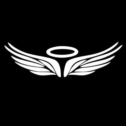 Adesivo Asa Anjo - Eterno - Moto Tamanho ideal para frente de moto