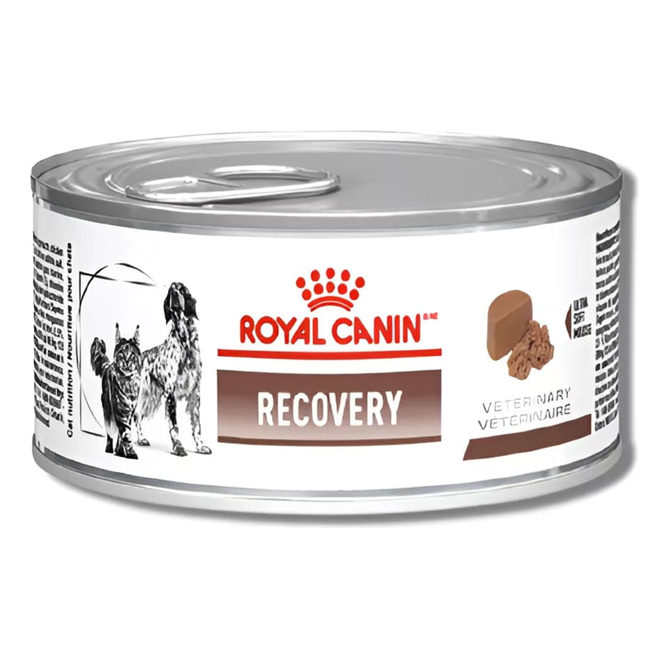 Ração Royal Canin Veterinary Recovery Lata Cães E Gatos 195g