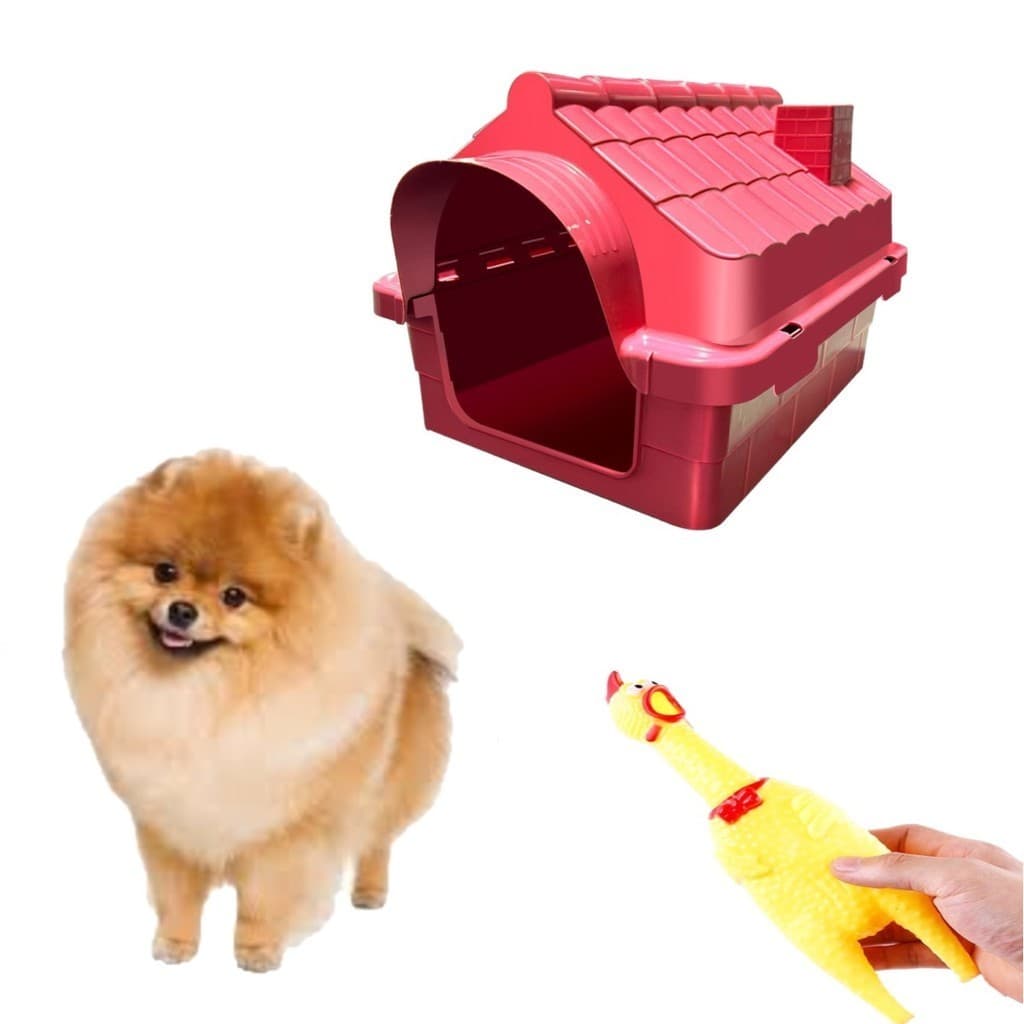 Mordedor Galinha Pet Interativo + Casinha Vermelho Pet N1