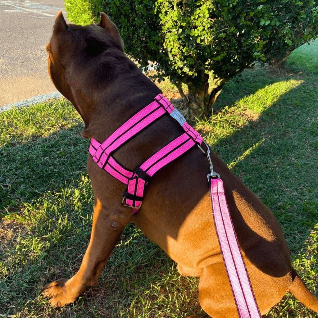 Coleira Peitoral  com Guia Super Reforçada Para Cachorro Grande e Médio Porte Passeio Dogvix