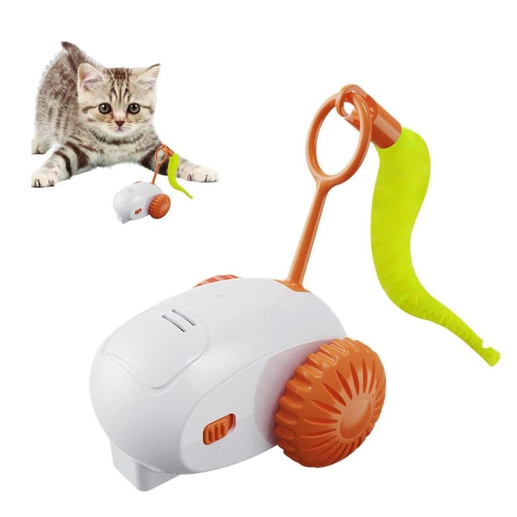 Carrinho Elétrico interativo P/ Pet  Modo Inteligente Brinquedo Cães