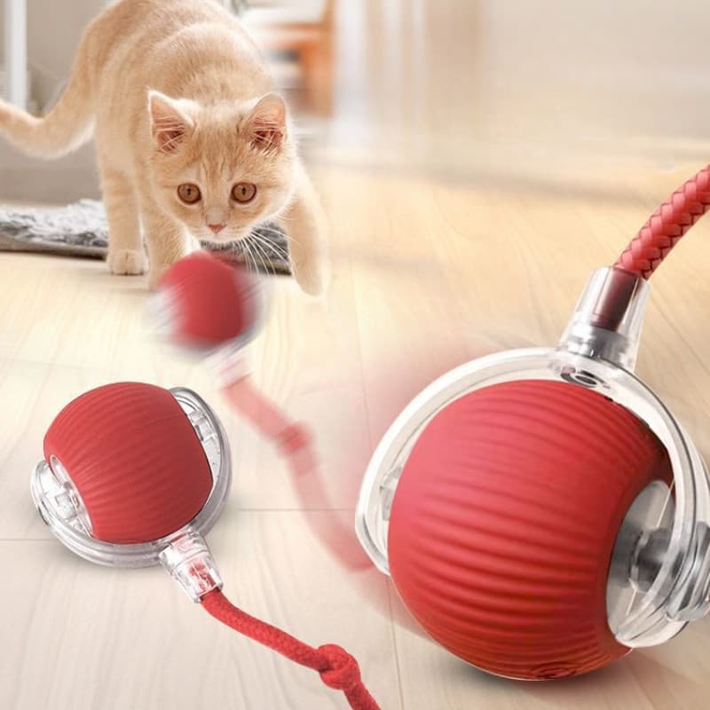 Bola Interativa Automática Para Gatos KittyFrolic , Brinquedo De Treinamento Elétrico Com Recurso De Rolo Inteligente , 