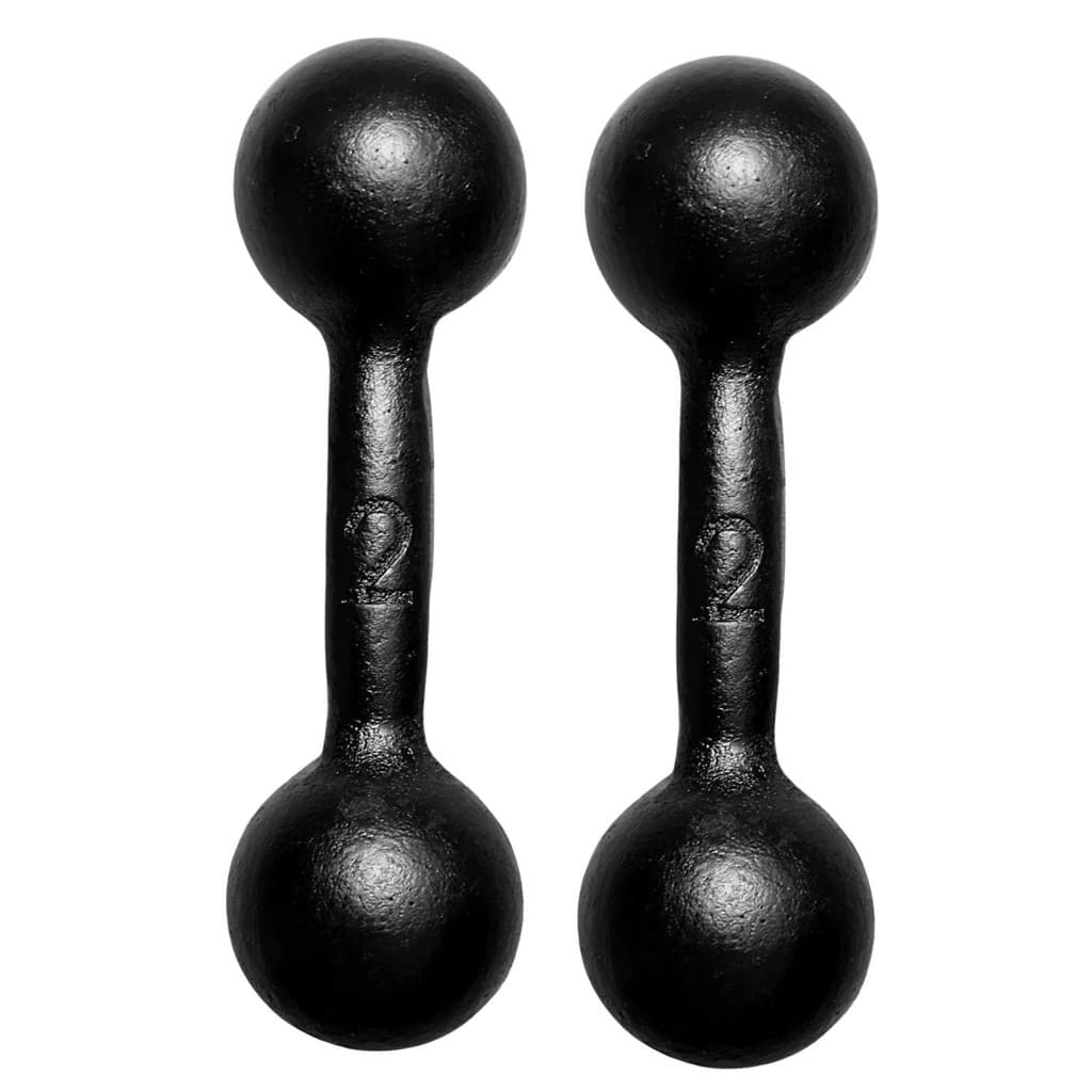 Kit 2 Halteres 2Kg Ferro Fundido Musculação Academia Alui