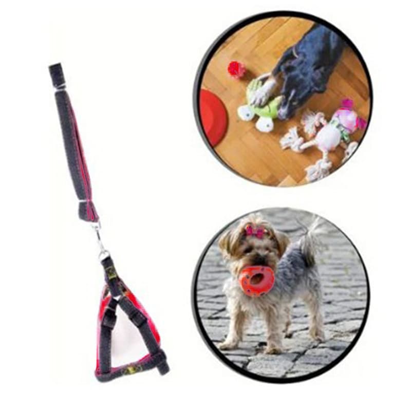 Coleira Pet Guia Peitoral Cachorro 1,20Mt Regulagem Vermelho
