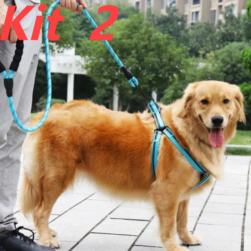 Kit 2 Guia De Passeio Corda Reforçada Para Cachorro Porte Médio E Grande 1.20m Guia/Coleira Para Cães - Alta Qualidade