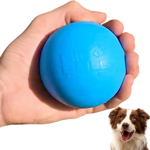 Brinquedo para cães cachorros Bola bolinha Lisa 80mm de borracha super resistente - Big Bull (Média)