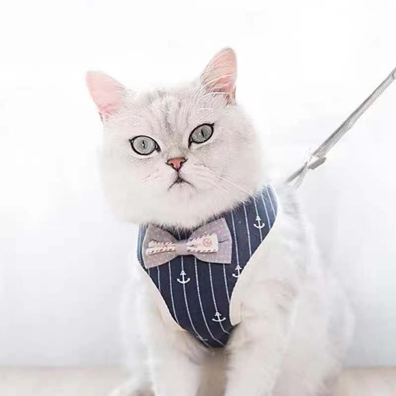 Coleira Peitoral Para Cachorro/gatos Pet Colete S M L Com Guia