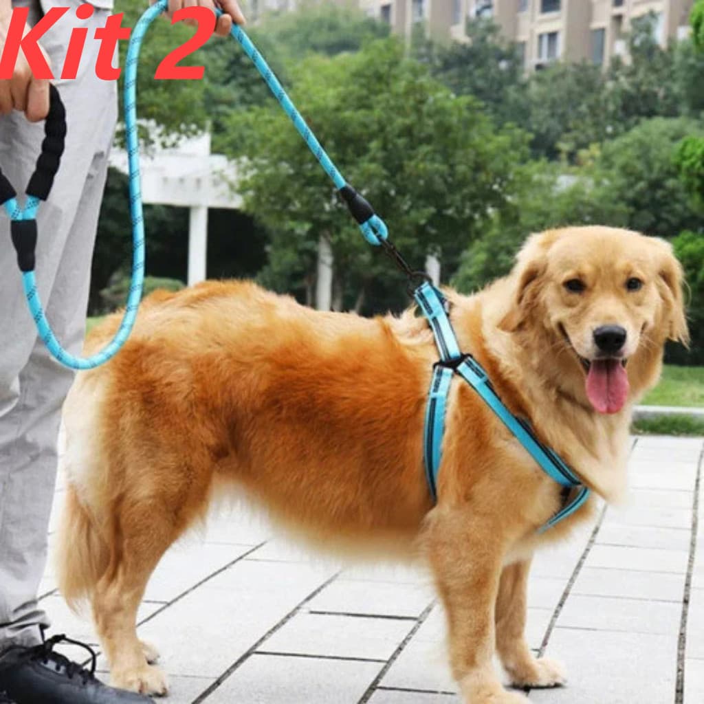 Guia De Passeio Corda Reforçada Para Cachorro Porte Médio E Grande 1.20m Guia/Coleira Para Cães - Alta Qualidade