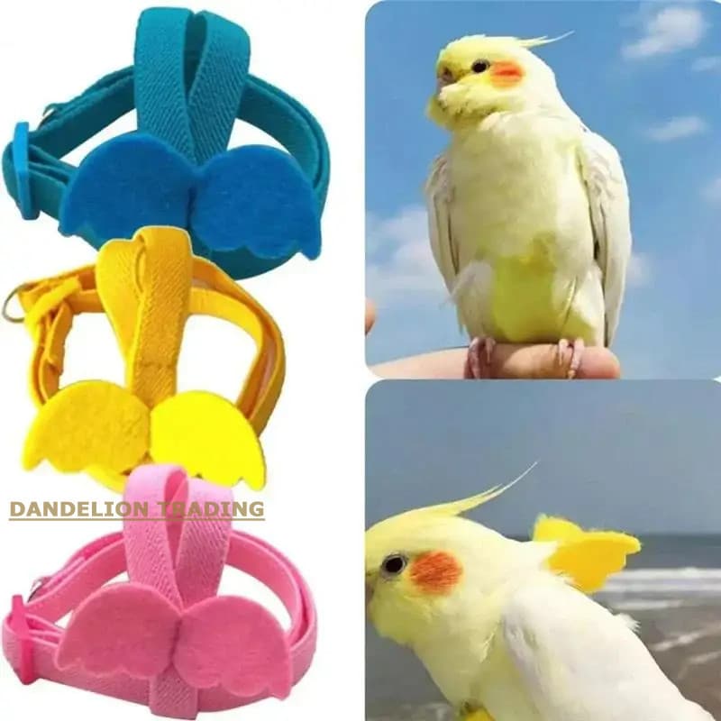 [DANDELION] Conjunto de Coleira e Guia para Papagaios, Coleira de Treinamento Anti-mordida, Corda de Voo para Papagaios 