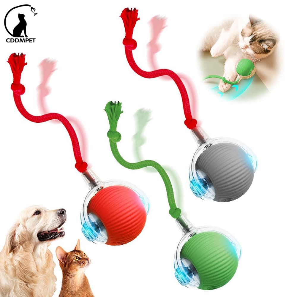 Brinquedos Interativos De Bola De Gato Automáticos Com Cabo Brinquedo Cachorro Rolante Interno