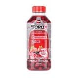 Sorox Frutas Vermelhas 550mL