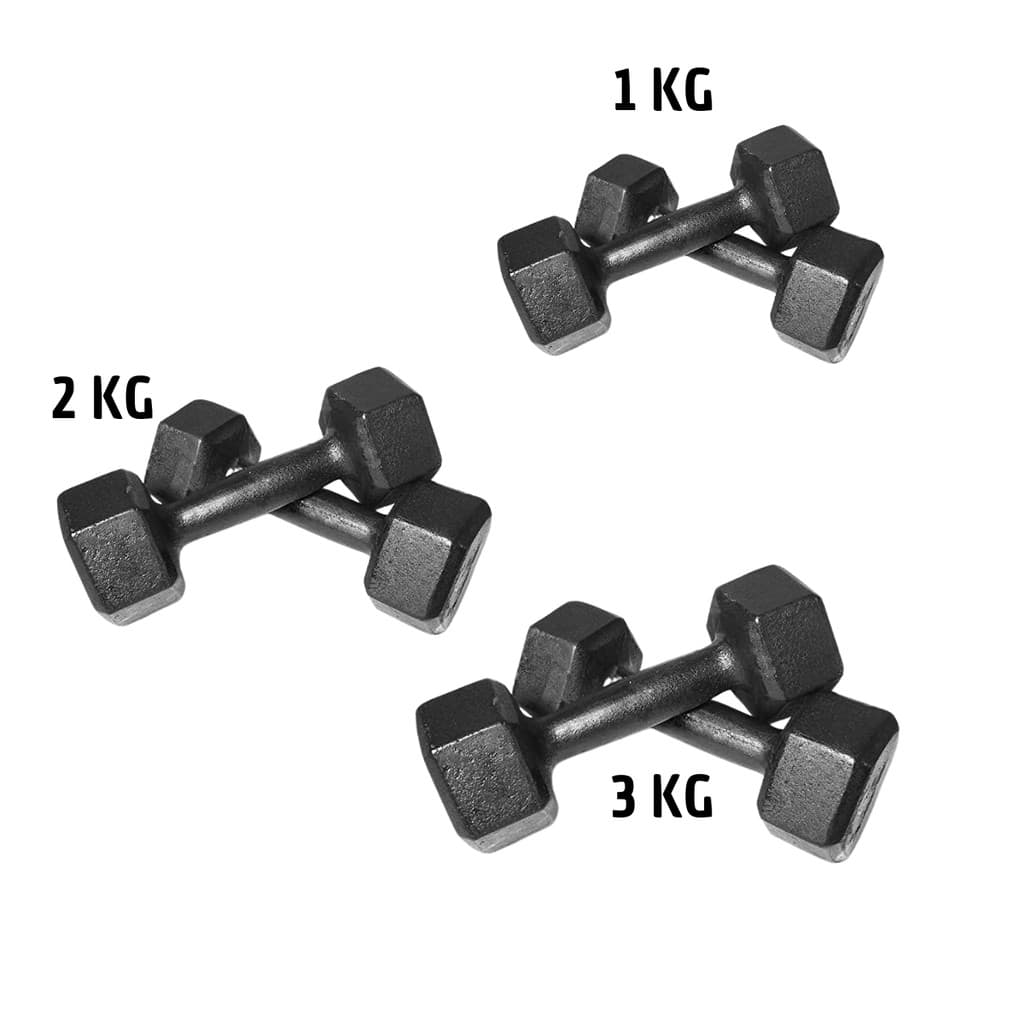 KIT 3 PARES HALTER SEXTAVADO PINTADO 1 KG + 2 KG + 3 KG TREINO EM CASA ACADEMIA
