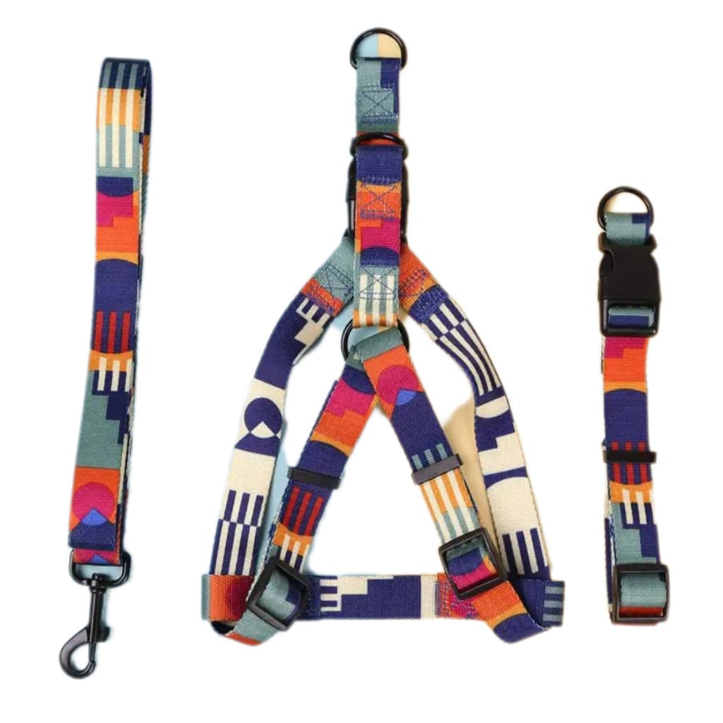 Conjunto Coleira + Coleira Peitoral + Guia Para Cães Azul