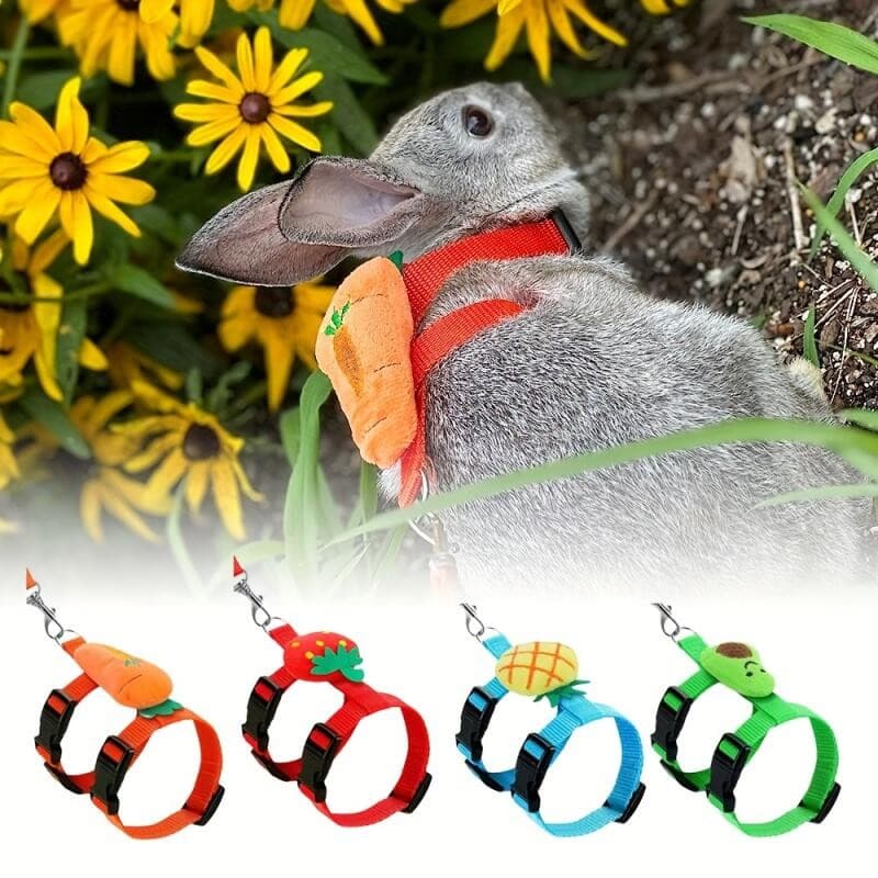 1 unidade de conjunto de coleira e guia para animais de estimação, em formato de H, resistente e durável, conjunto de co