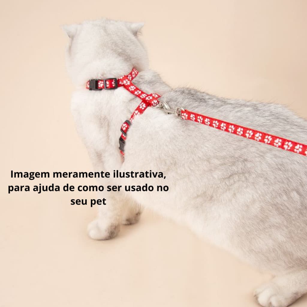 Peitoral De Seda Para Gatos Com Guia - Coleira Peitoral Guia Tamanho Unico