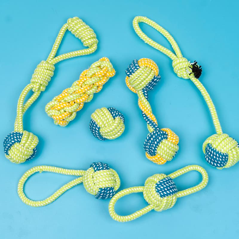 Brinquedo para cachorro, conjunto de corda para mordida de cachorro, nó Molar, bola de brinquedo, Golden Retriever, Samo