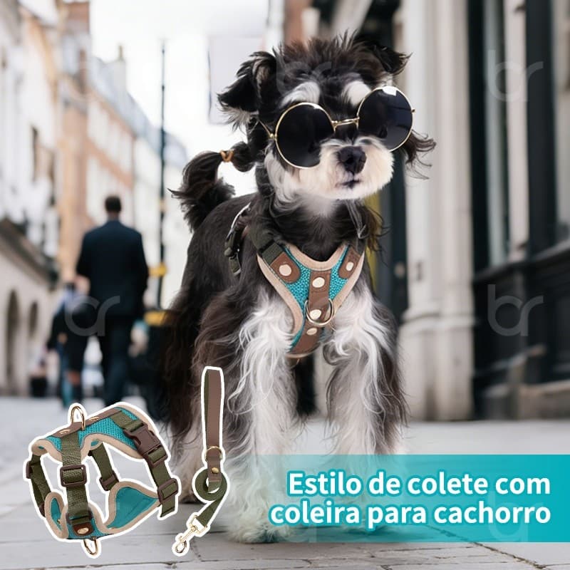 Peitoral Ajustável com Guia para Cachorros de Pequeno Porte Malha Respirável Confortável
