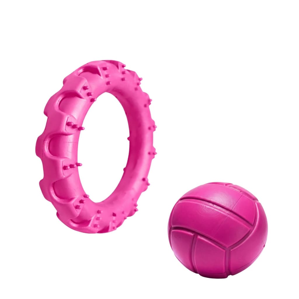 Kit 2 Brinquedos Cachorro Pneu e Bola Mordedor 100% Atóxico Resistente Mordida Forte