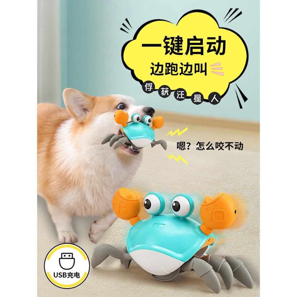 Brinquedo de voz para cachorro, ferramenta elétrica para alívio do tédio, Corgi, Bichon, cachorro de pelúcia, filhote de