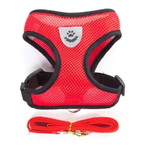 Coleira Peitoral Para Cachorro Pet Colete Refletivo + Guia Cor Vermelha Top Reflexível Tamanho da coleira G
