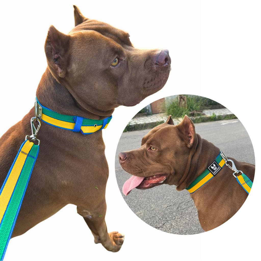 Coleira Com Guia Resistente Para Pitbull Grande Porte Medio Grande Cor da Camisa Seleção Brasileira