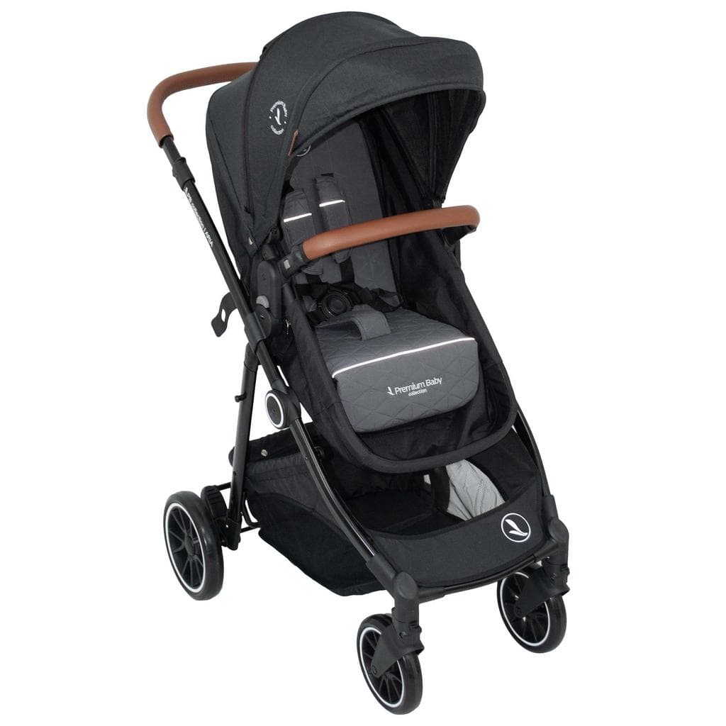 Carrinho De Bebê Travel System Premium Baby TS Aria Preto Com Base 3 Em 1
