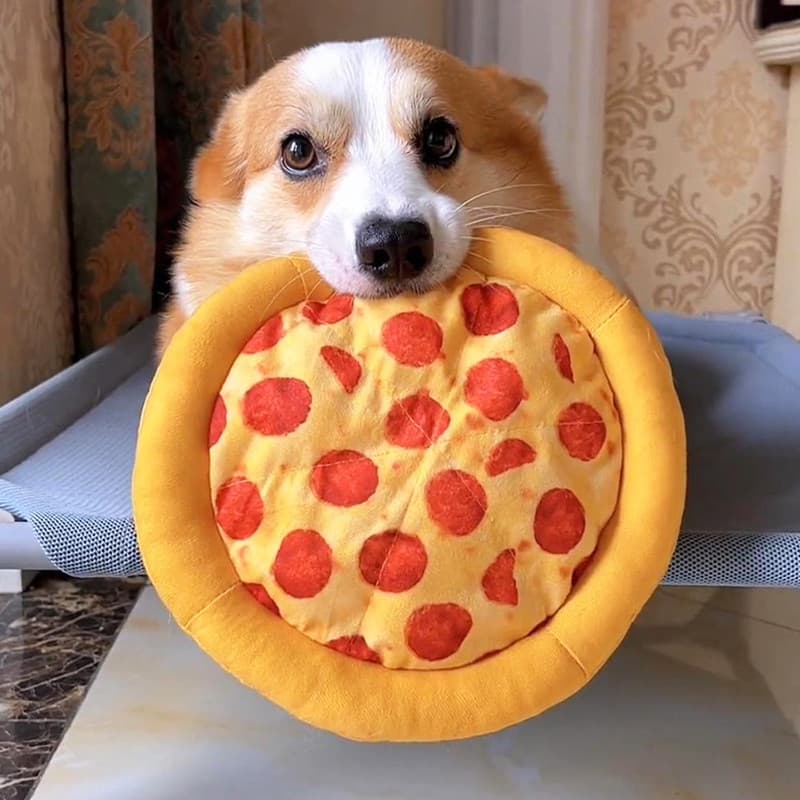 Brinquedo para cachorro Molar de pelúcia, resistente à mordida, filhote de cachorro, Corgi, voz, tamanho médio, Frisbee,